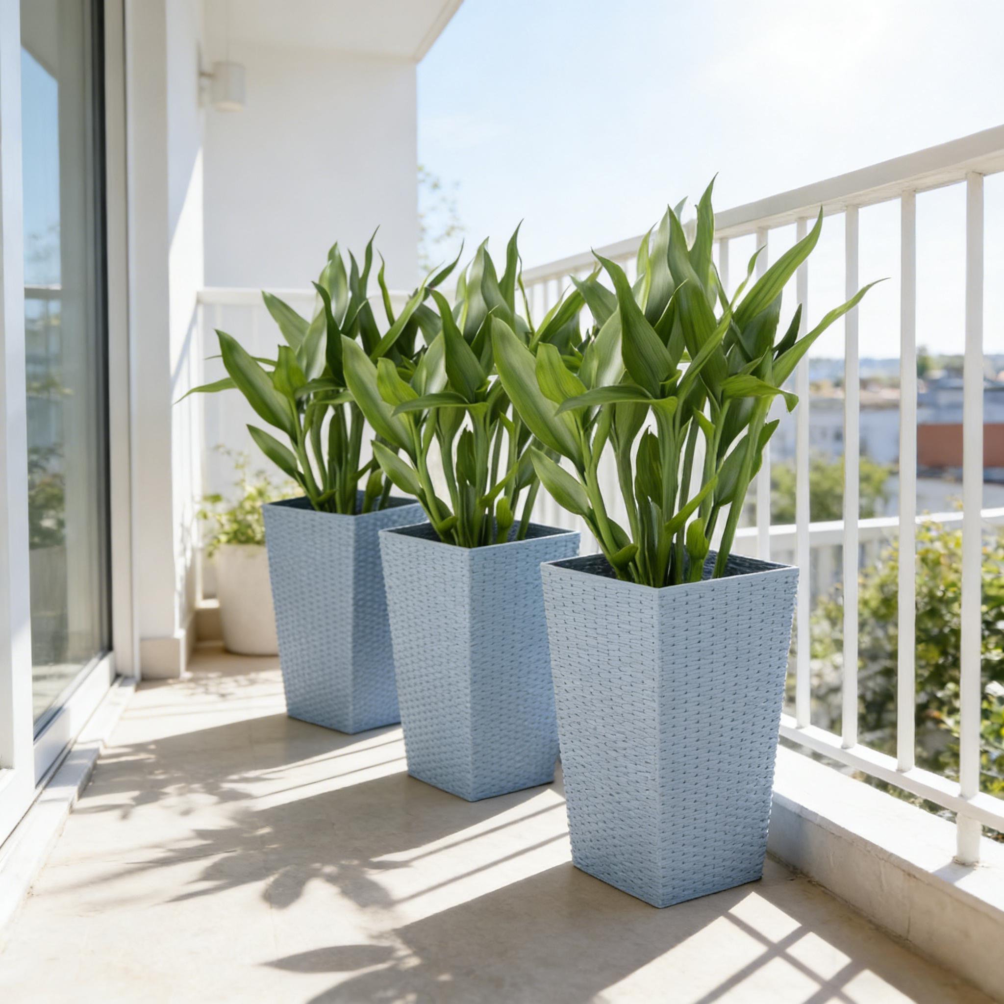 Plants Box Set of 3 Tall Planters by HouseOfZazla