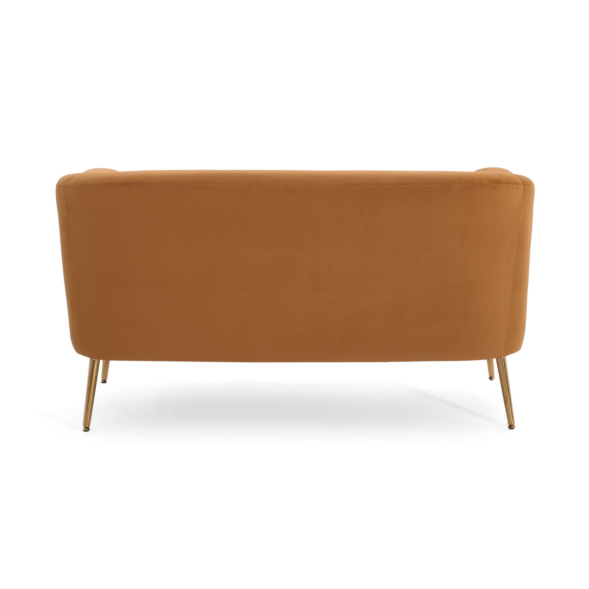 Modern Elegant Design Style Loveseat by HouseOfZazla
