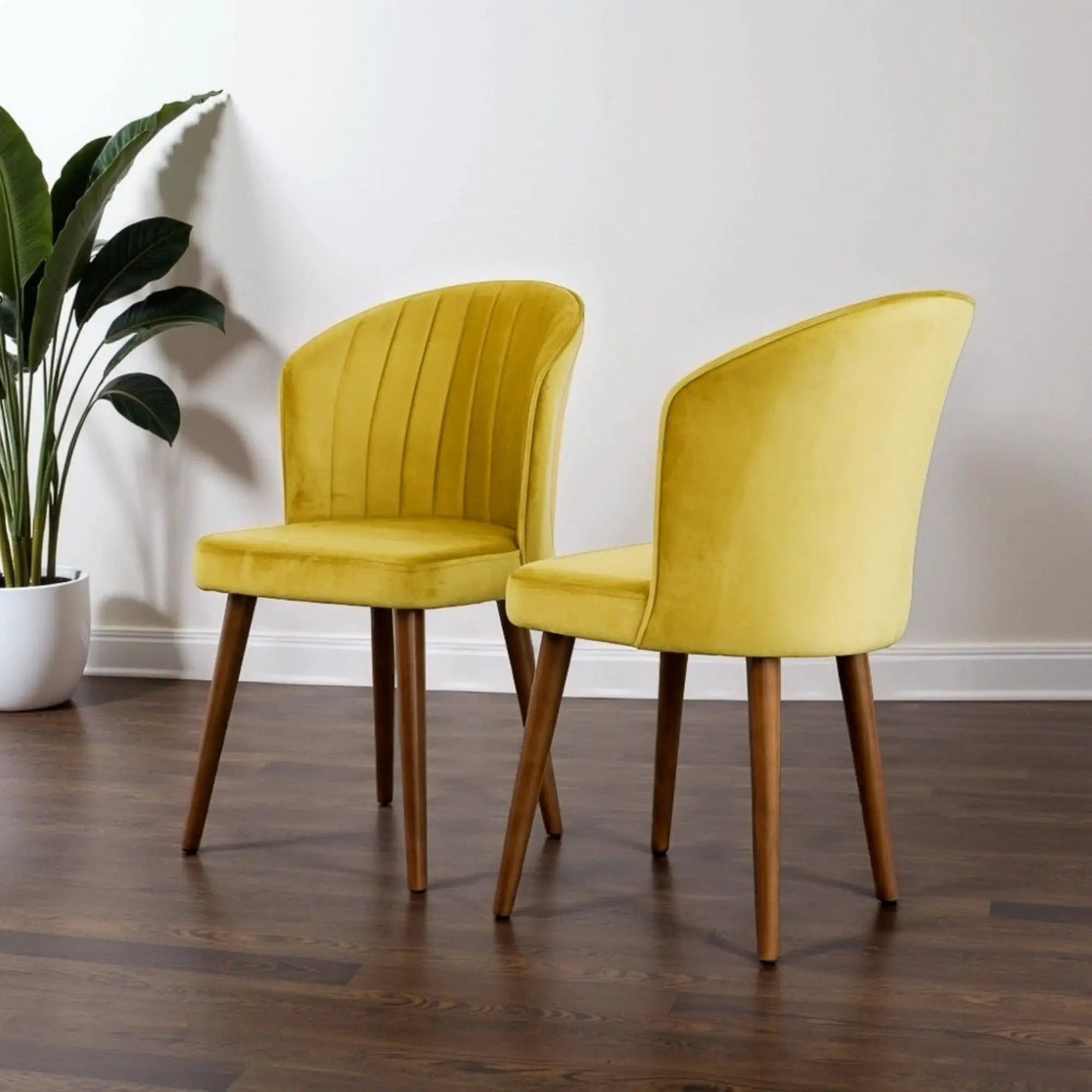 Parsons - Comfortable Dining Chair (Set of 2) by HouseOfZazla