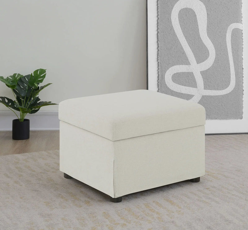 Winter Upholstered Hydraulic Lift Top Storage Ottoman Beige by Unique Piece Furniture