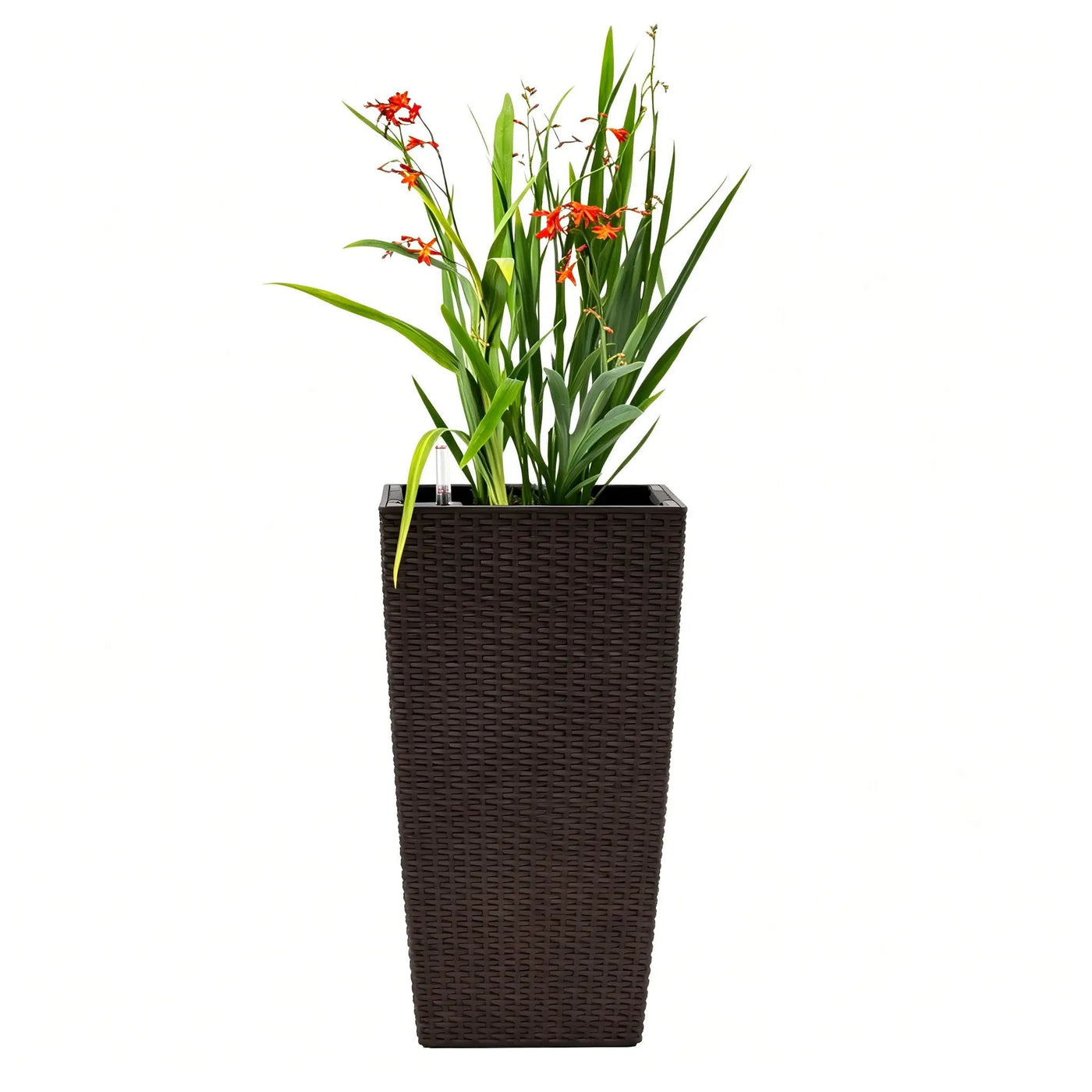 Indoor Outdoor Planter With Automatic Watering System by HouseOfZazla