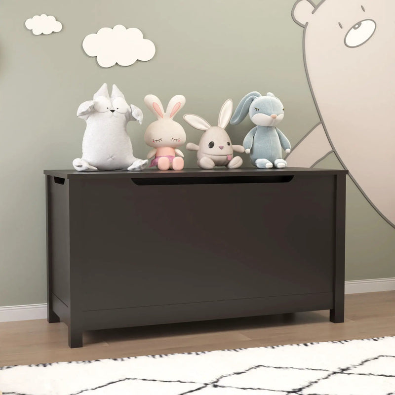 Toy Box Storage With Safety Hinged Lid by Unique Piece Furniture