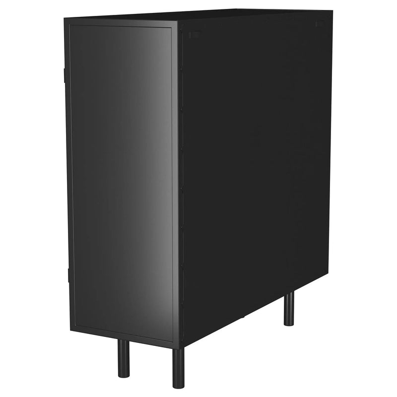 Dalia 2-door Accent Storage Cabinet with Shelving Black by Unique Piece Furniture