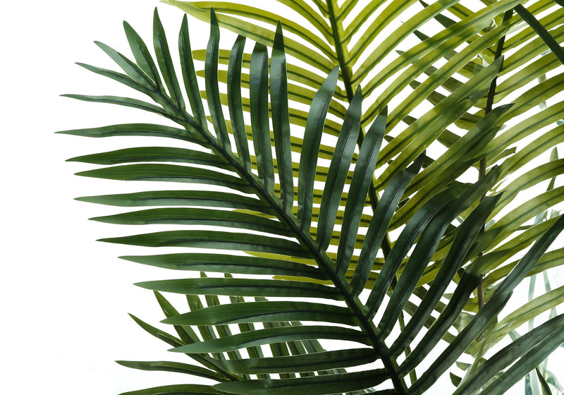 57-Inch Artificial Palm Tree with Real-Touch Leaves - Green, photo 3 of 4