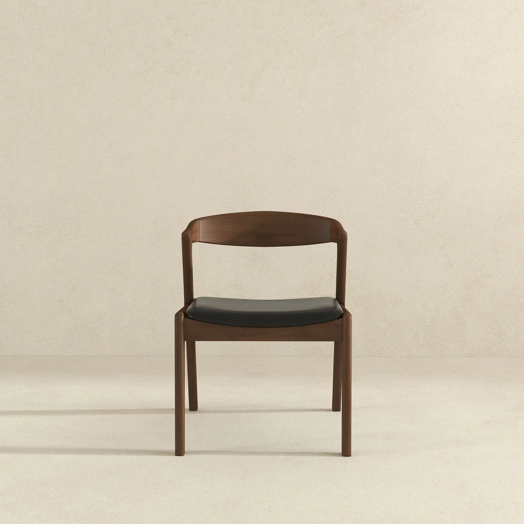Dakota - Mid-Century Modern Dining Chair (Set of 2) by HouseOfZazla