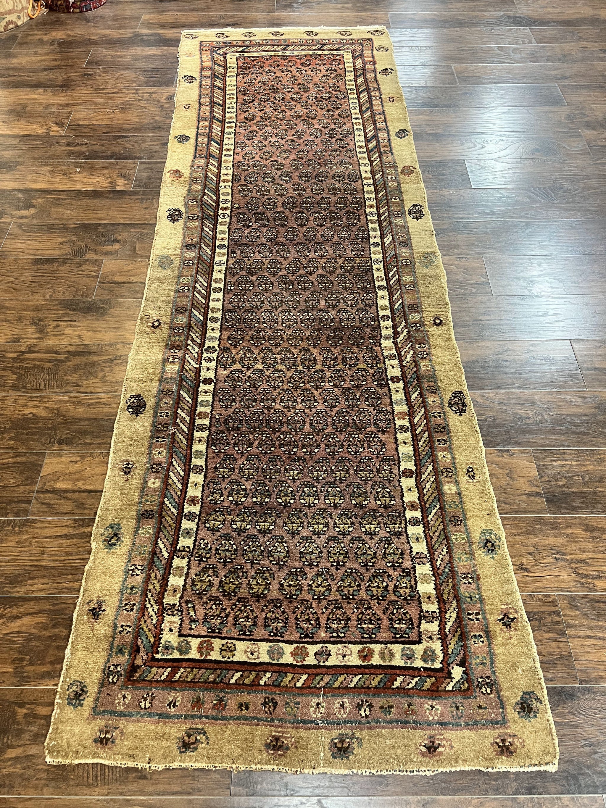Antique Persian Sarab Runner Rug 3x11, Wool Camel Hair, Tribal Carpet for Hallway 3 x 11, Antique 1920s Rug, Handmade by Jewel Rugs