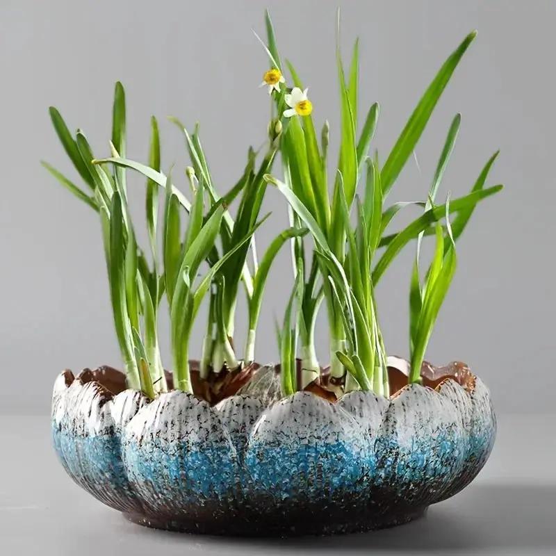 1pc Casual Style Ceramic Flower Pot, Round Tabletop Hydroponic Planter, for Bulbs, Succulents, and Lotus, Indoor and Outdoor Decorative Pot with No Drainage Hole by House Of Avana