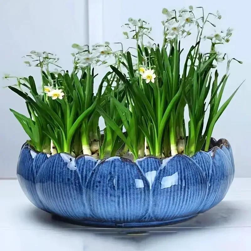 1pc Casual Style Ceramic Flower Pot, Round Tabletop Hydroponic Planter, for Bulbs, Succulents, and Lotus, Indoor and Outdoor Decorative Pot with No Drainage Hole by House Of Avana