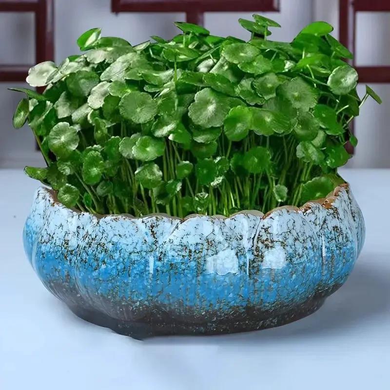 1pc Casual Style Ceramic Flower Pot, Round Tabletop Hydroponic Planter, for Bulbs, Succulents, and Lotus, Indoor and Outdoor Decorative Pot with No Drainage Hole by House Of Avana