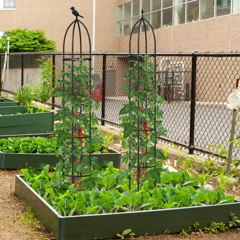 2-Pack Garden Obelisk Trellis for Climbing Plants-Black by DirectDeals