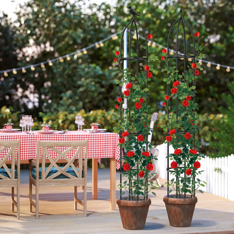 2-Pack Garden Obelisk Trellis for Climbing Plants-Black by DirectDeals