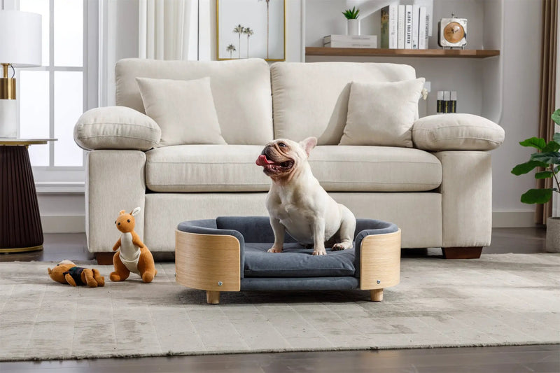 Scandinavian Style Elevated Dog Bed with Velvet Cushion by HouseOfZazla