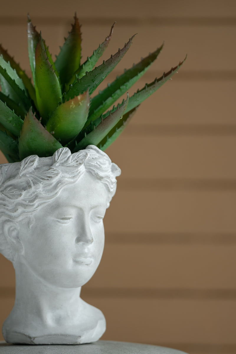 Greek Style Cement Head Planter with Classic Design - Cement, photo 2 of 10