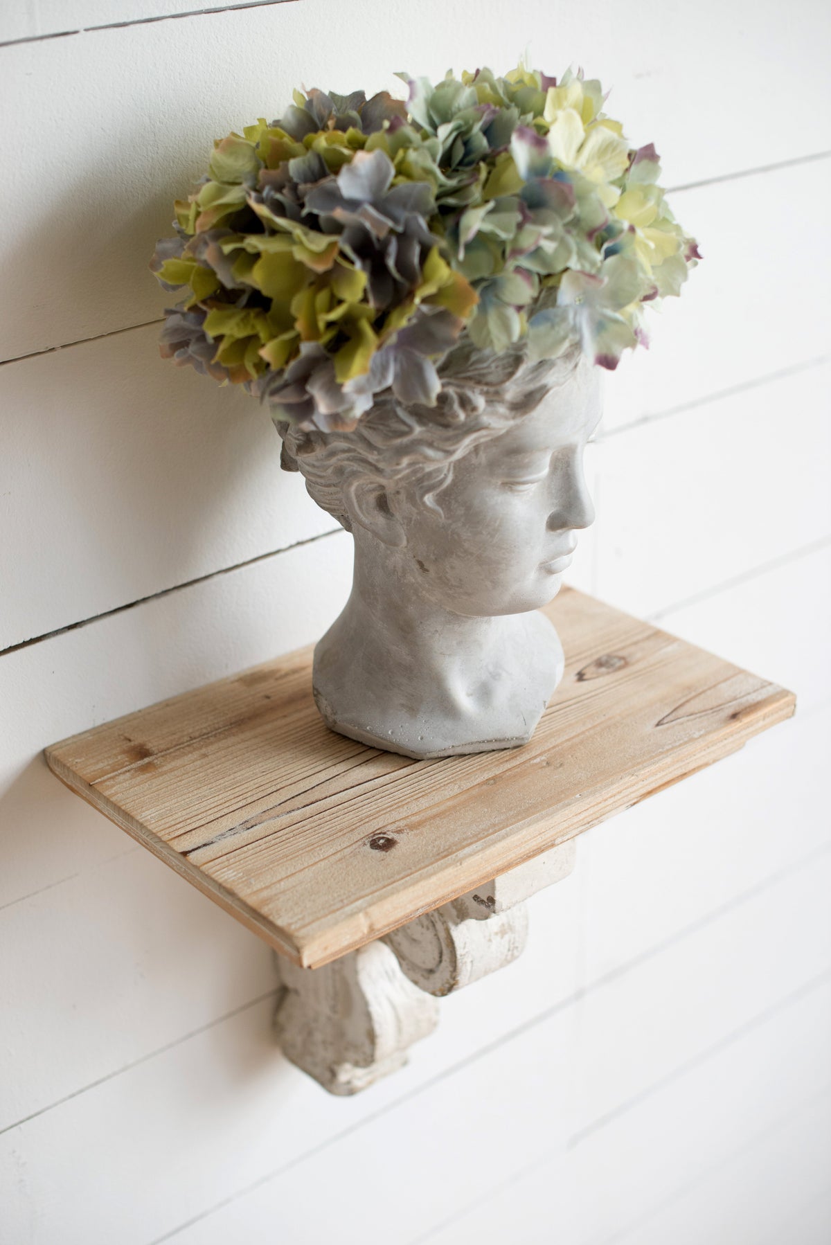 Greek Style Cement Head Planter with Classic Design - Cement, photo 6 of 10