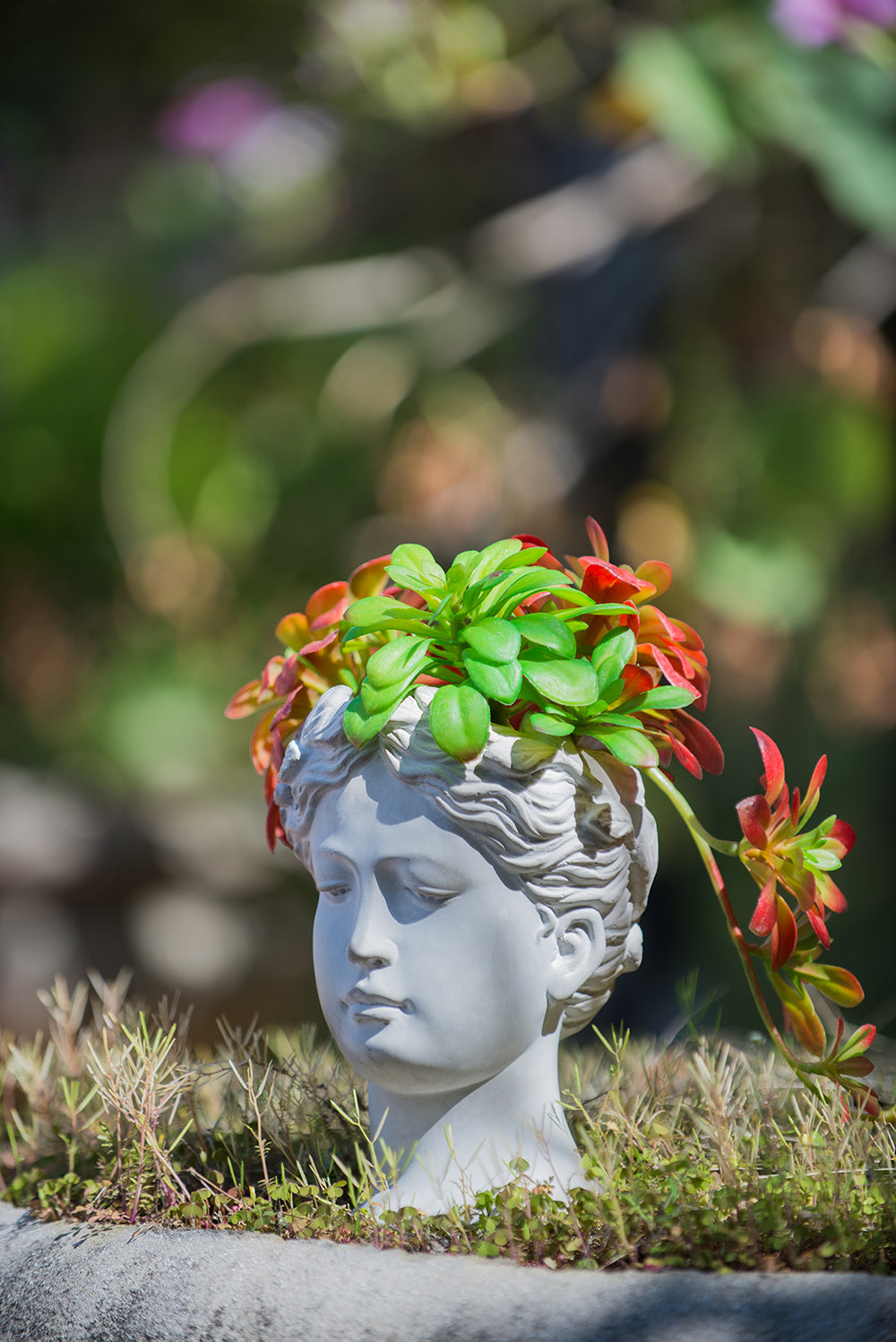 Greek Style Cement Head Planter with Classic Design - Cement