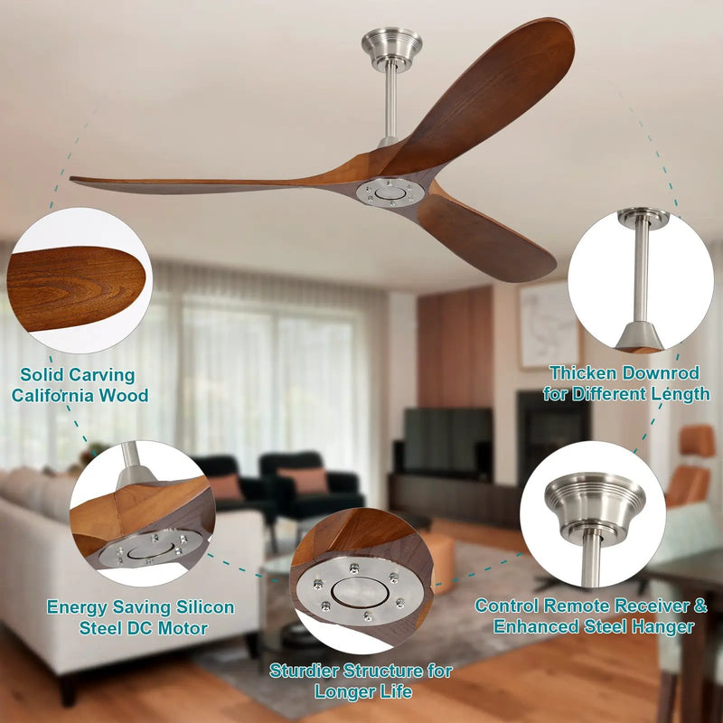 60 Inch Indoor Modern Ceiling Fan With 3 Solid Wood Blades by HouseOfZazla