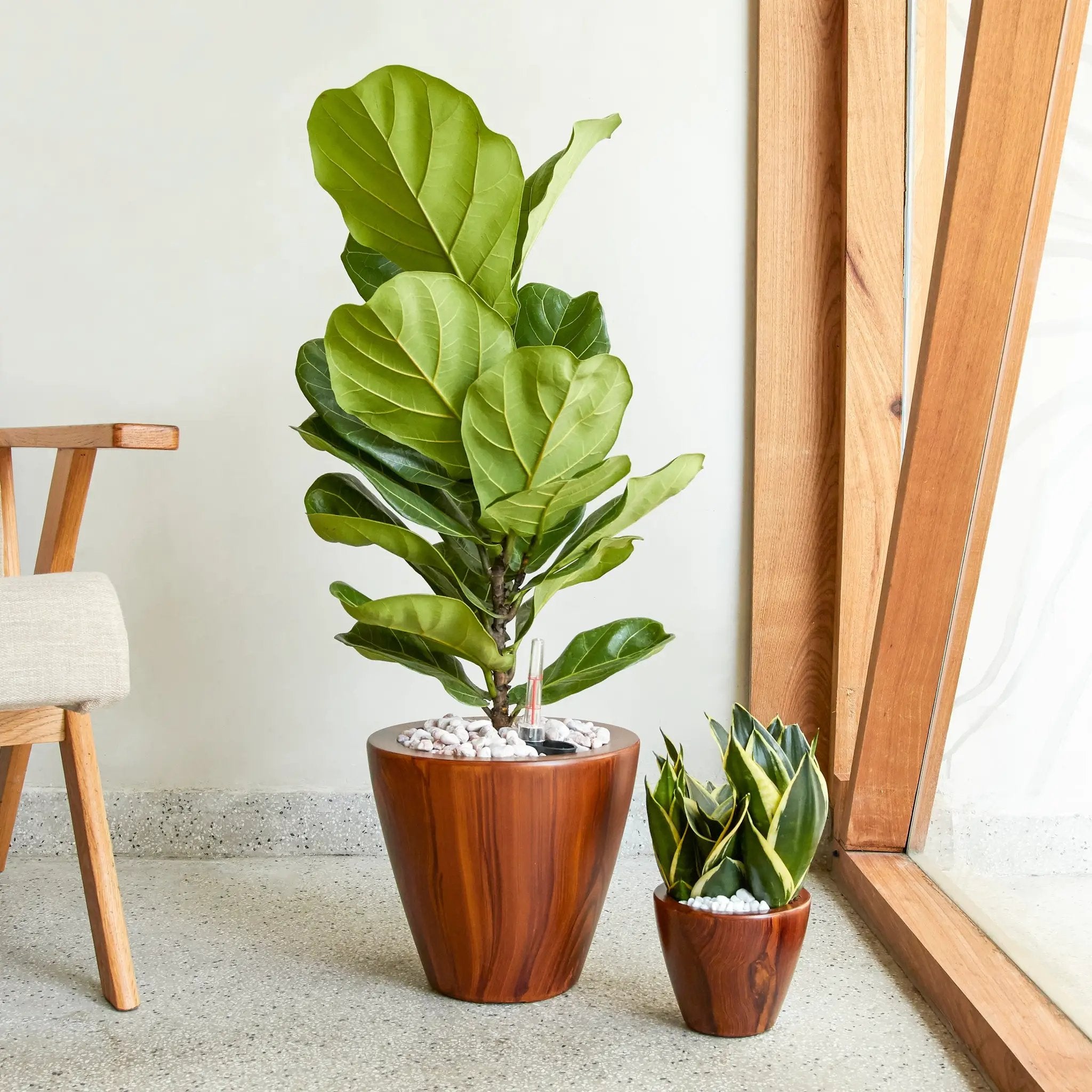 2-Pack 10 in. Dark Wood Plastic Self-Watering Planter Pot by HouseOfZazla