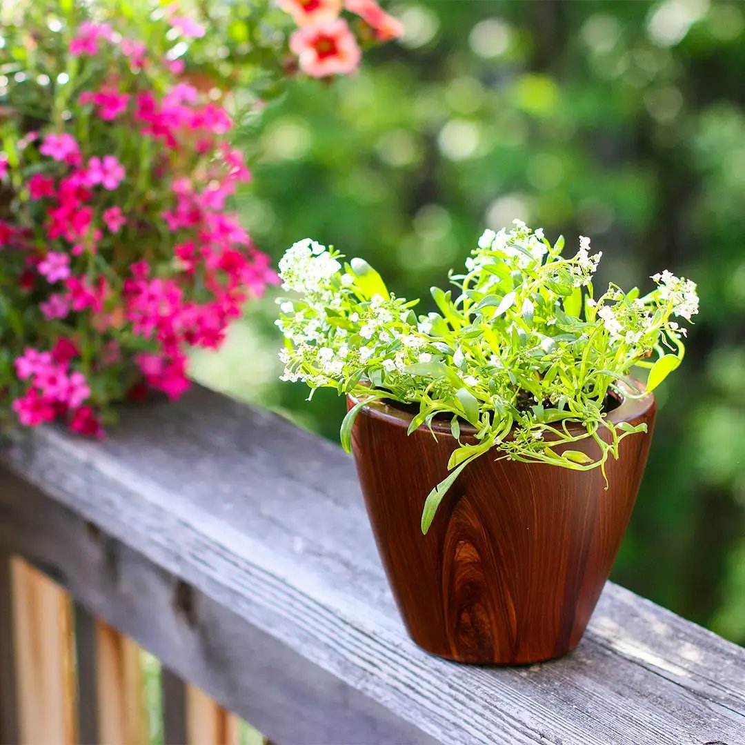 2-Pack 10 in. Dark Wood Plastic Self-Watering Planter Pot by HouseOfZazla