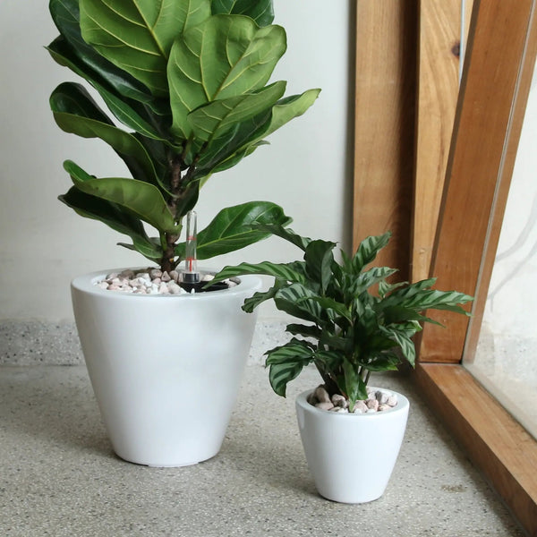 2-Pack Smart Self-Watering Planter Pot