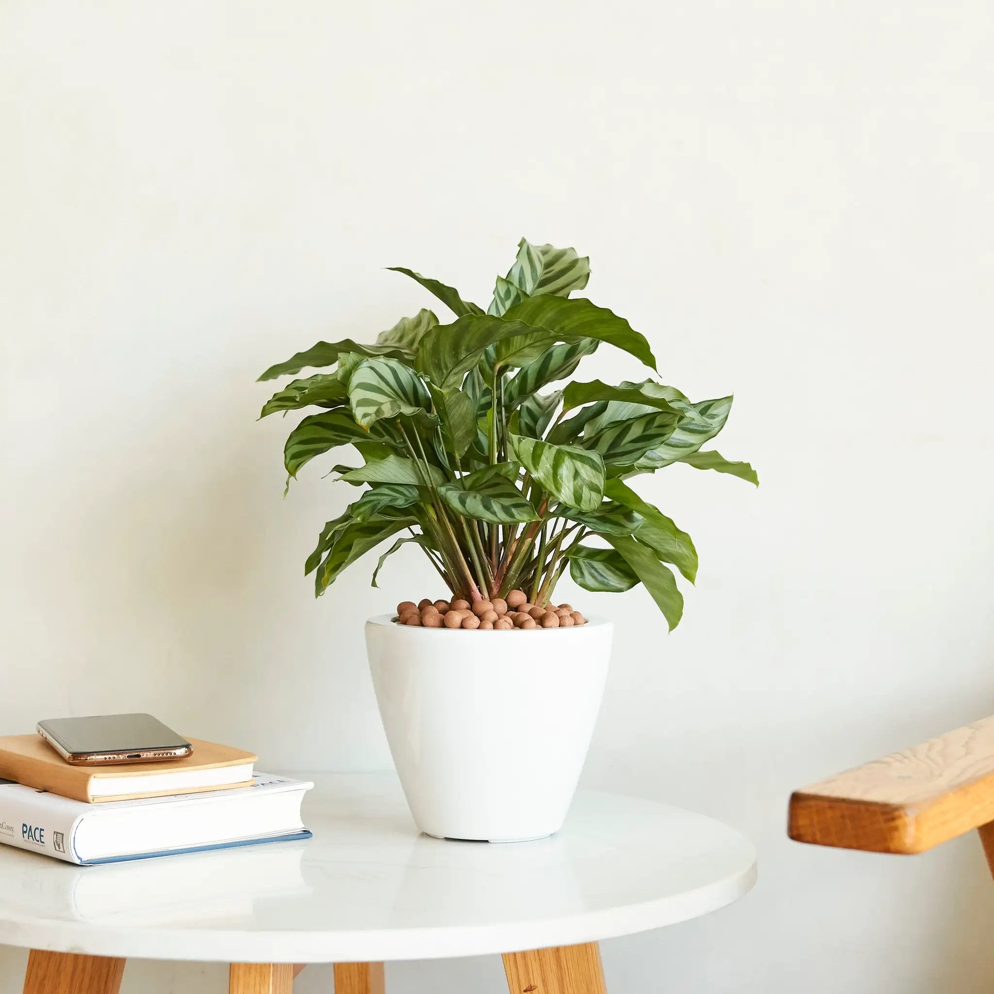2-Pack Smart Self-Watering Planter Pot by HouseOfZazla