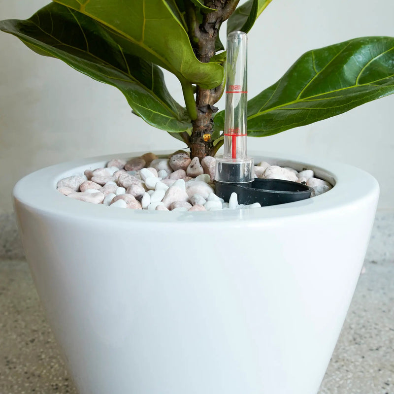 2-Pack Smart Self-Watering Planter Pot by HouseOfZazla