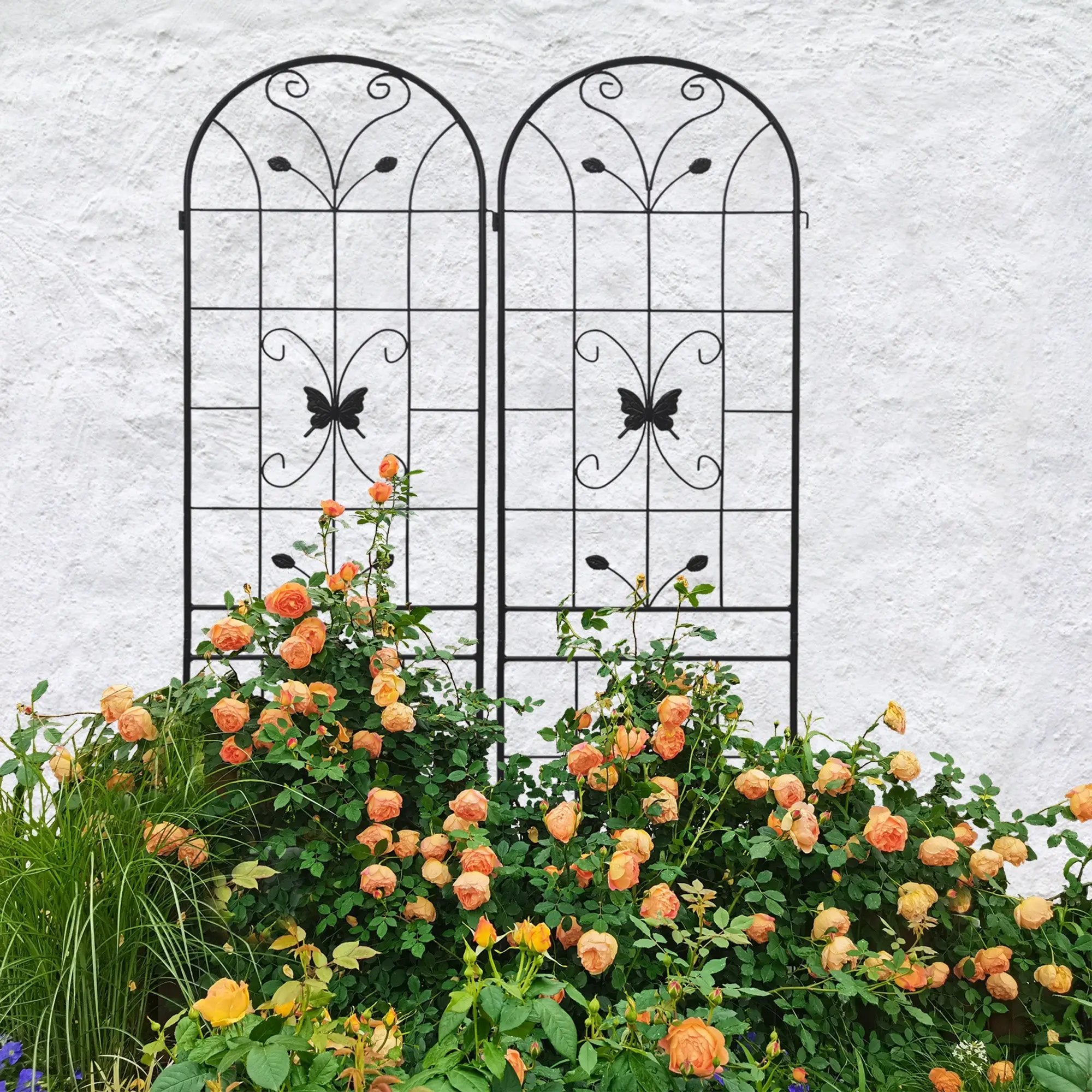 2 Pack Metal Garden Trellis 86.7" x 19.7" by HouseOfZazla