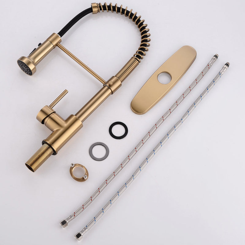 Brushed Nickel Kitchen Faucet with Pull-Down Sprayer - Brushed Nickel, photo 7 of 9