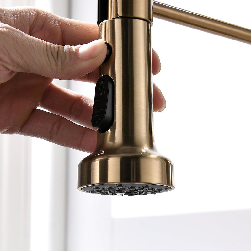 Brushed Nickel Kitchen Faucet with Pull-Down Sprayer - Brushed Nickel, photo 4 of 9