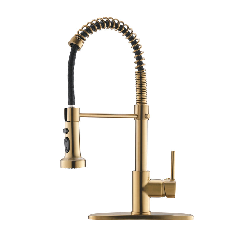 Brushed Nickel Kitchen Faucet with Pull-Down Sprayer - Brushed Nickel, photo 8 of 9