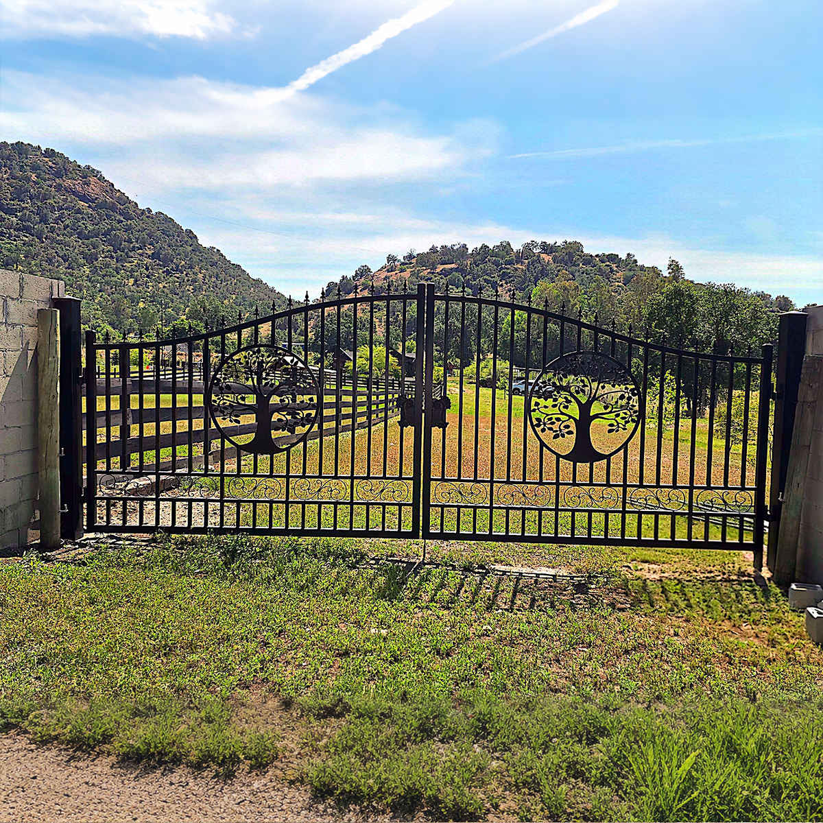 20x8 ft Steel Dual Swing Driveway Gate by Chery Industrial