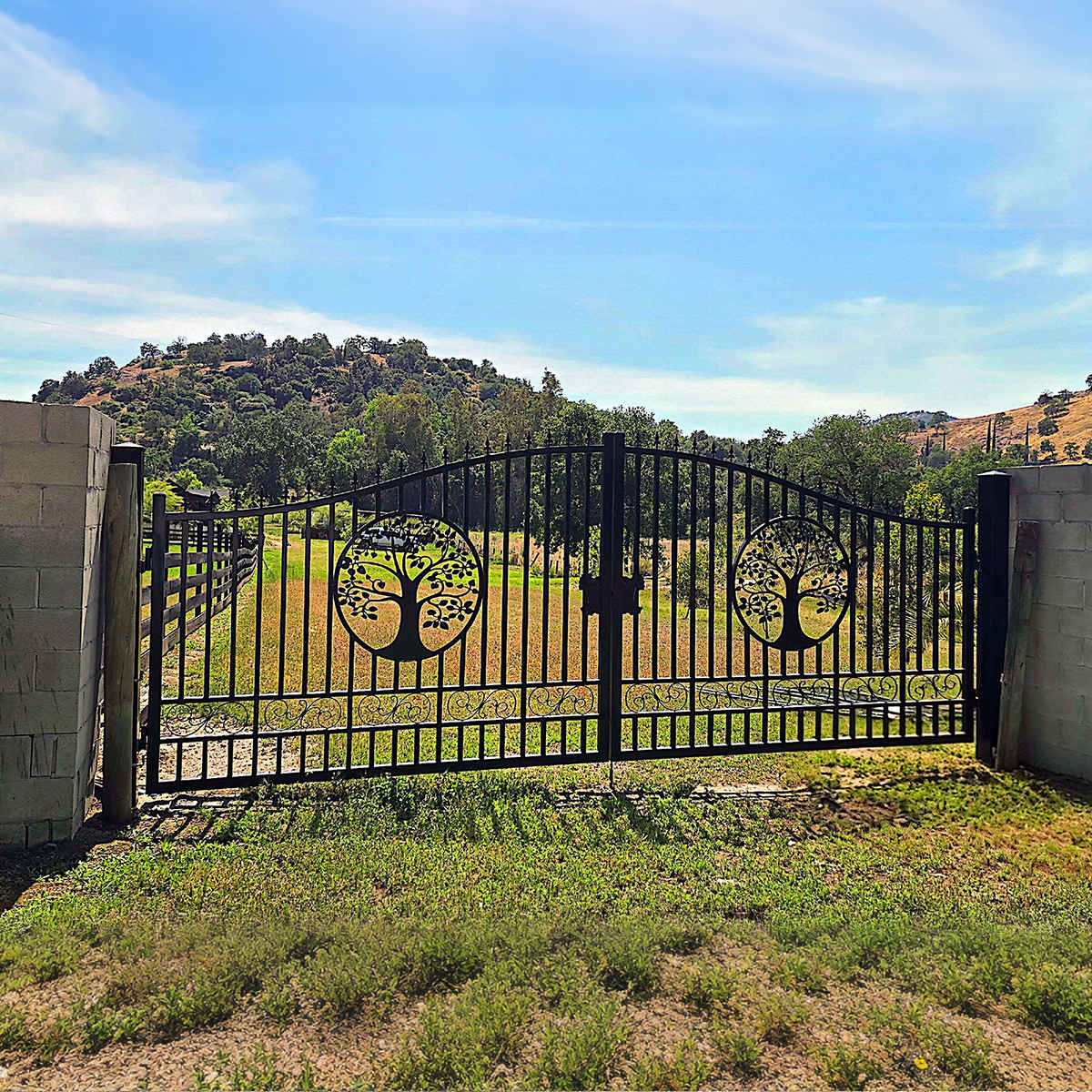 20x8 ft Steel Dual Swing Driveway Gate by Chery Industrial