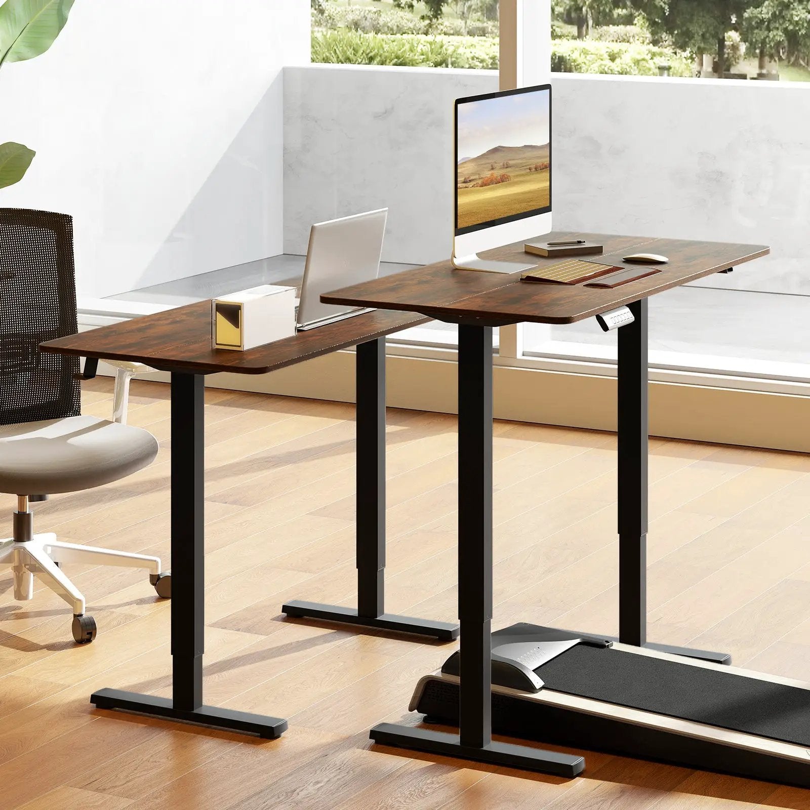 48 Inch x 24 Inch Ergonomic Electric Standing Desk with 3 Memory Settings for Home Office by DirectDeals