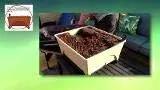 Emsco Group 2341-1HD City Picker Raised Bed Self Watering and Improved Aeration – Mobile Unit with Casters-Hunter Green Grow Box and Seed Starter by GreenHaven Gardens
