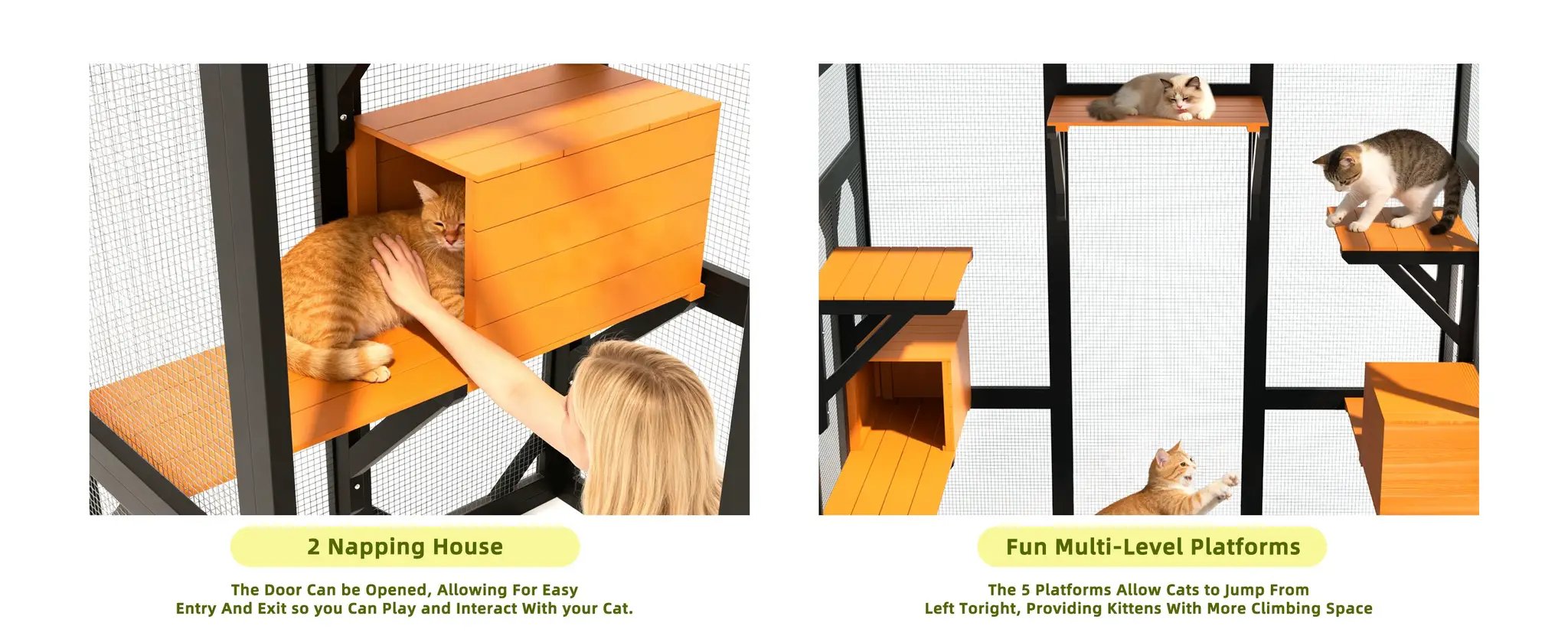 62.6" Solid Wood Pet Enclosure by HouseOfZazla