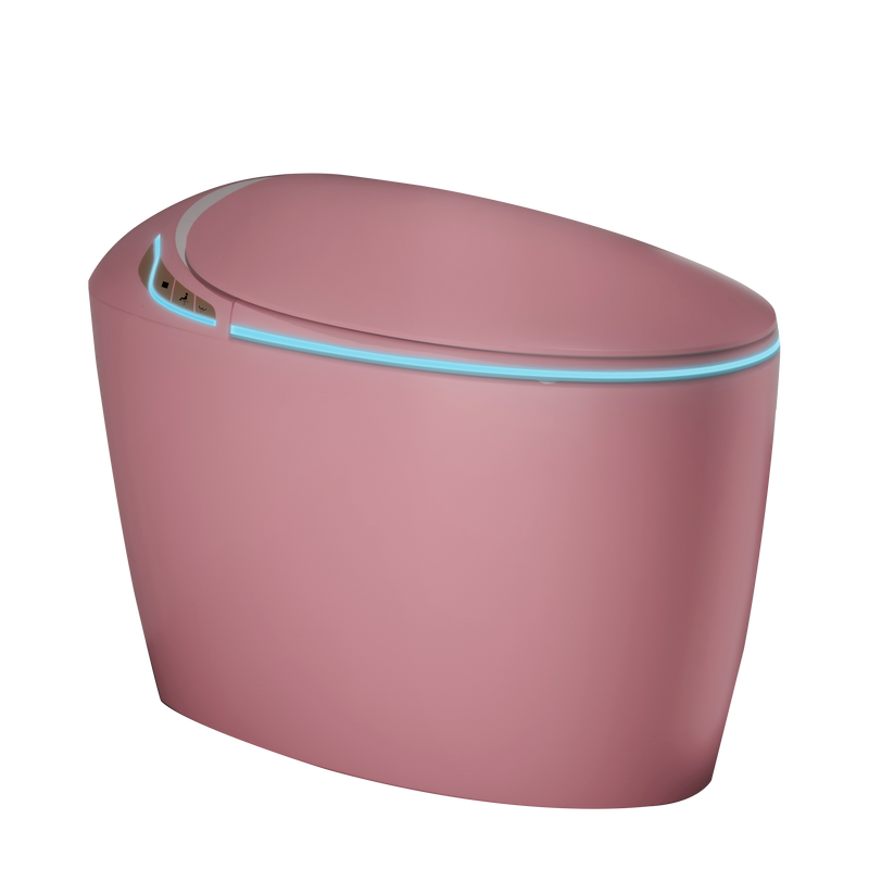 Unique Smart Toilet with Bidet Built-In by HouseOfZazla