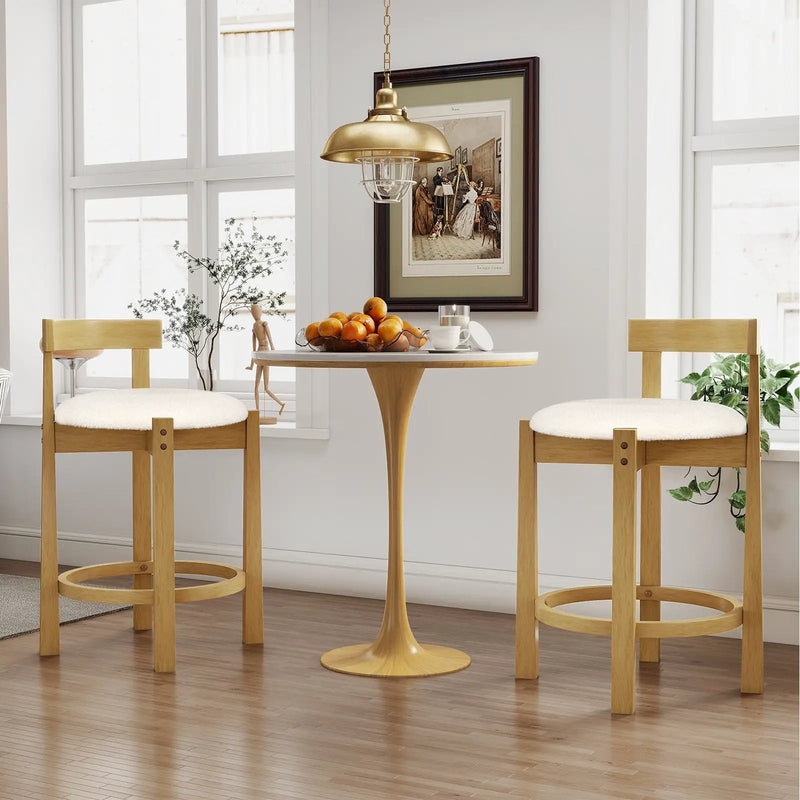 24 Inch Teddy Velvet Upholstered Counter Height Bar Stools with Backrests and Footrests by DirectDeals