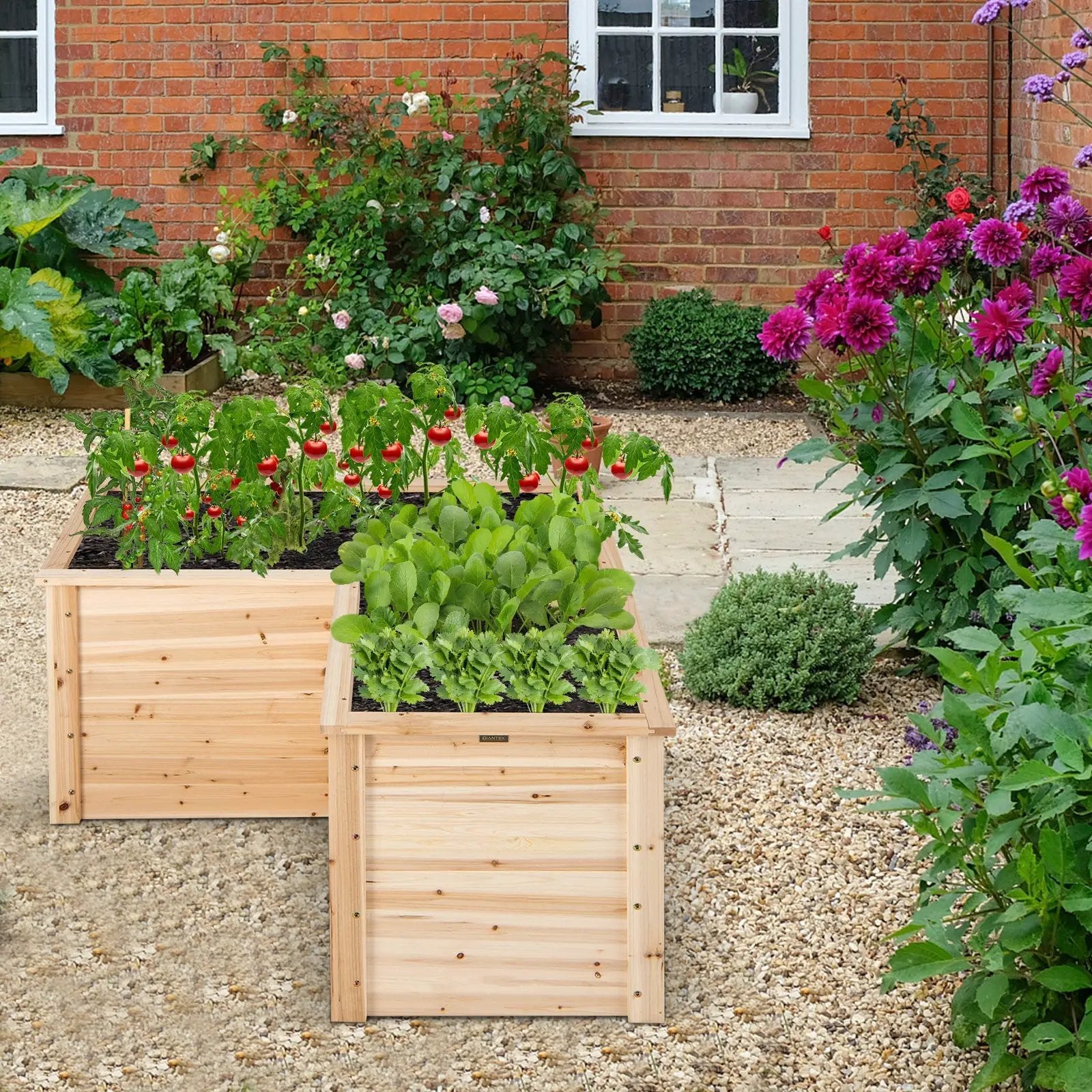 24 Inch L-Shaped Wooden Raised Garden Bed with Open-Ended Base-Natural by DirectDeals