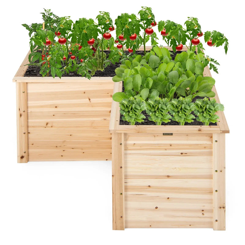 24 Inch L-Shaped Wooden Raised Garden Bed with Open-Ended Base-Natural by DirectDeals
