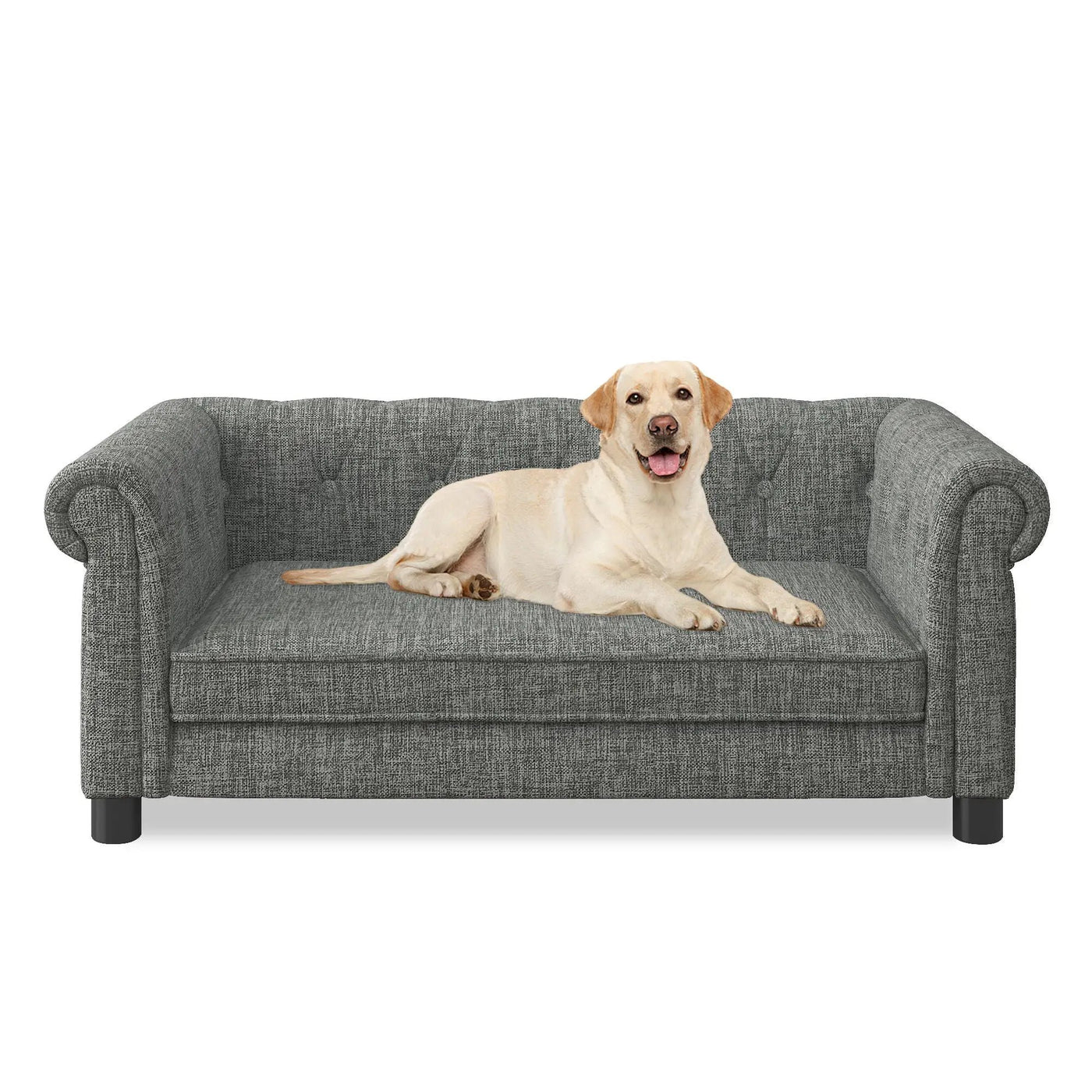 Modern Elegant Rectangle Pet Bed, Durable Elevated Dog Sofa by HouseOfZazla