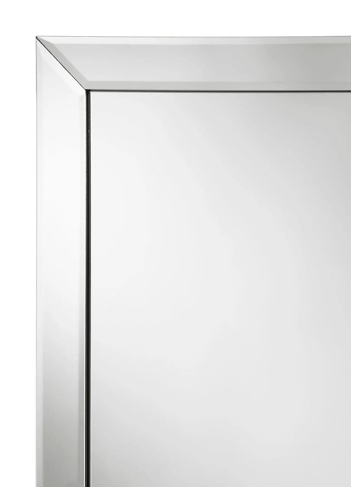 Soline 22 x 61 Inch Framed Standing Floor Mirror Silver by Unique Piece Furniture