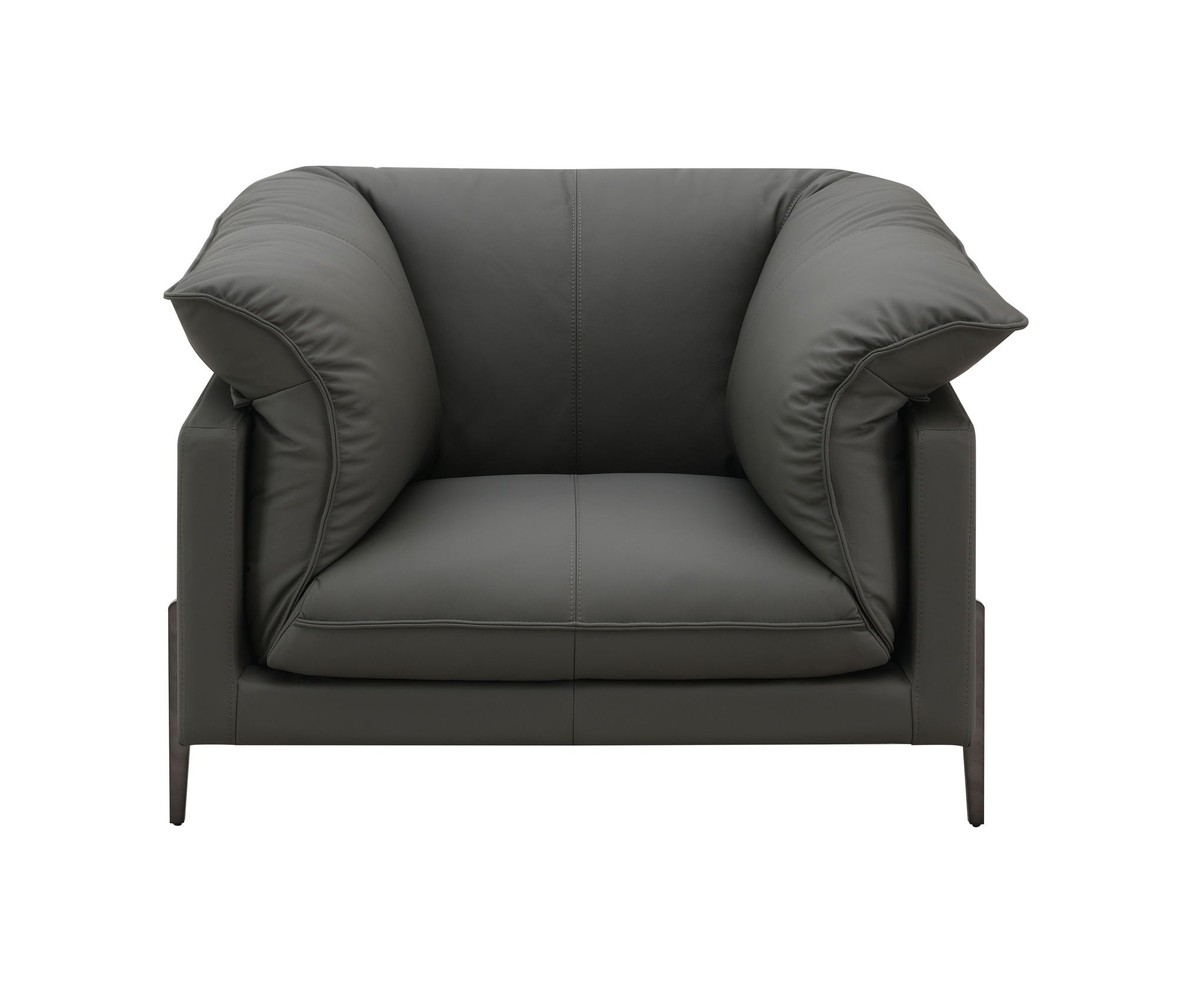 Tadi - Top Grain Leather Chair - Black by HouseOfZazla
