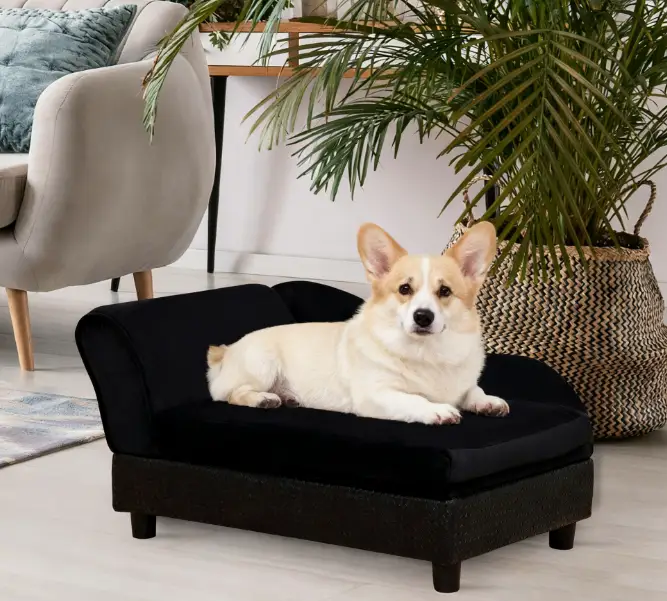 Pet Sofa Dog Sofa for Small Dogs with Storage by HouseOfZazla