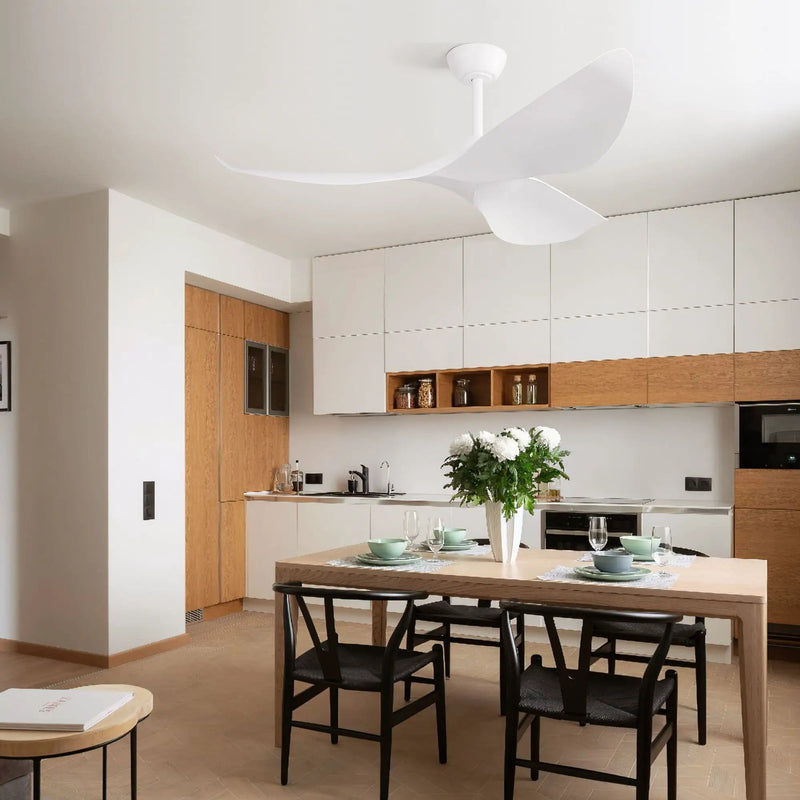Ceiling Fan Without Light, DC Motor Remote Control Fan For Indoor / Outdoor Use - White by HouseOfZazla