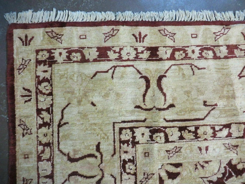 10' X 15' Hand Made Pakistan Wool on Cotton Rug Peshawar # 200A by Jewel Rugs