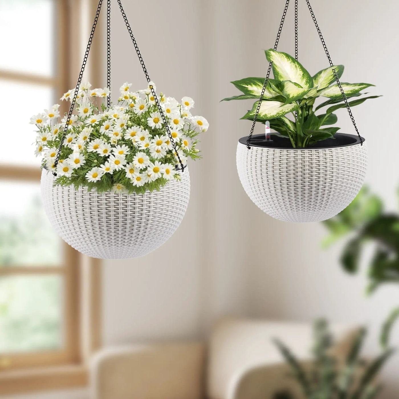 Self Watering Hanging Planter by HouseOfZazla