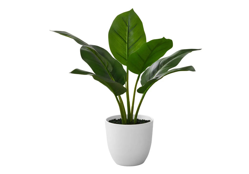 17" Tall Aureum Artificial Indoor Plant in White Pot by HouseOfZazla
