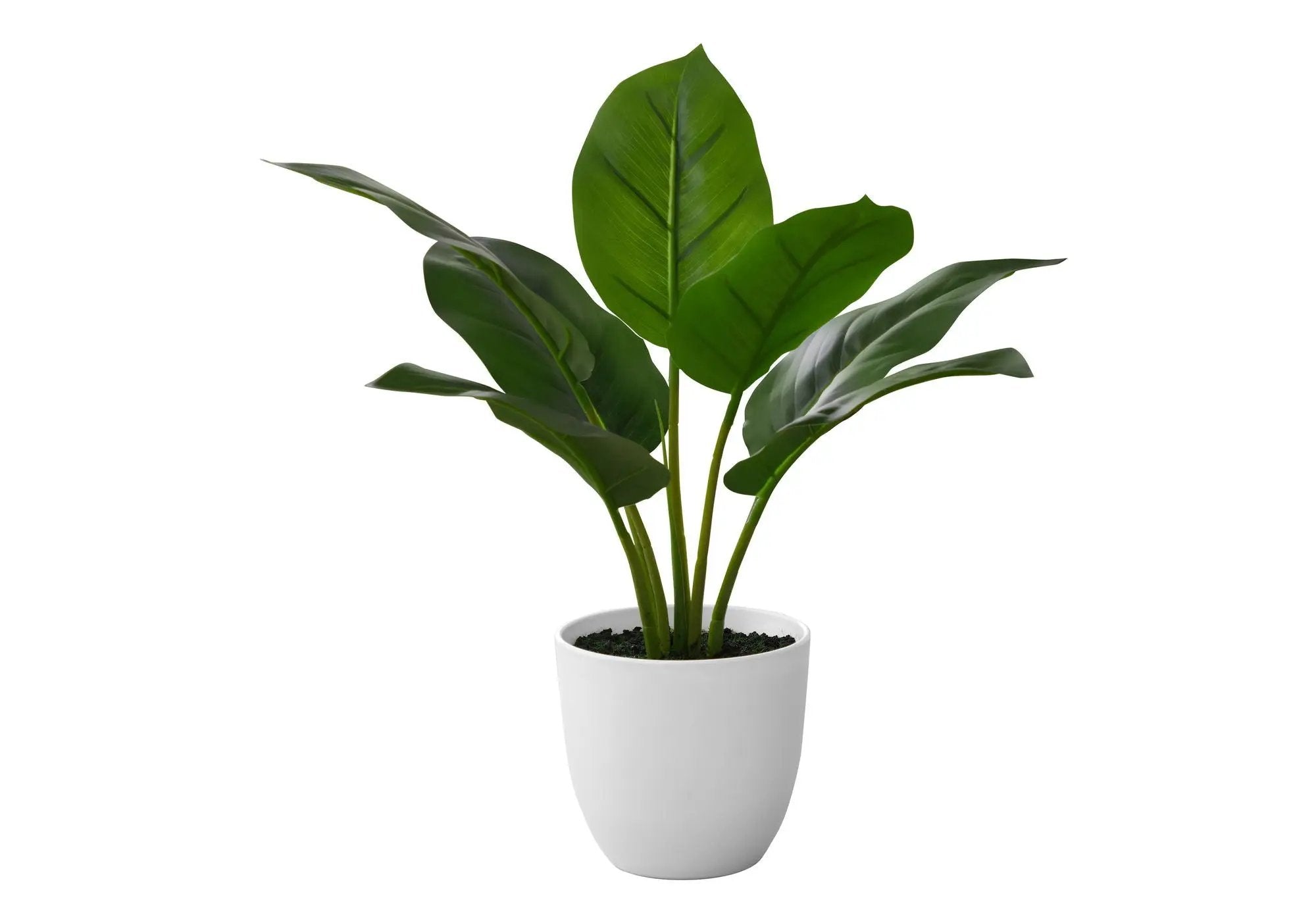 17" Tall, Artificial Plant, Aureum, Indoor, Faux, Fake, Table, Greenery, Potted, Real Touch, Decorative - Green / White by Unique Piece Furniture