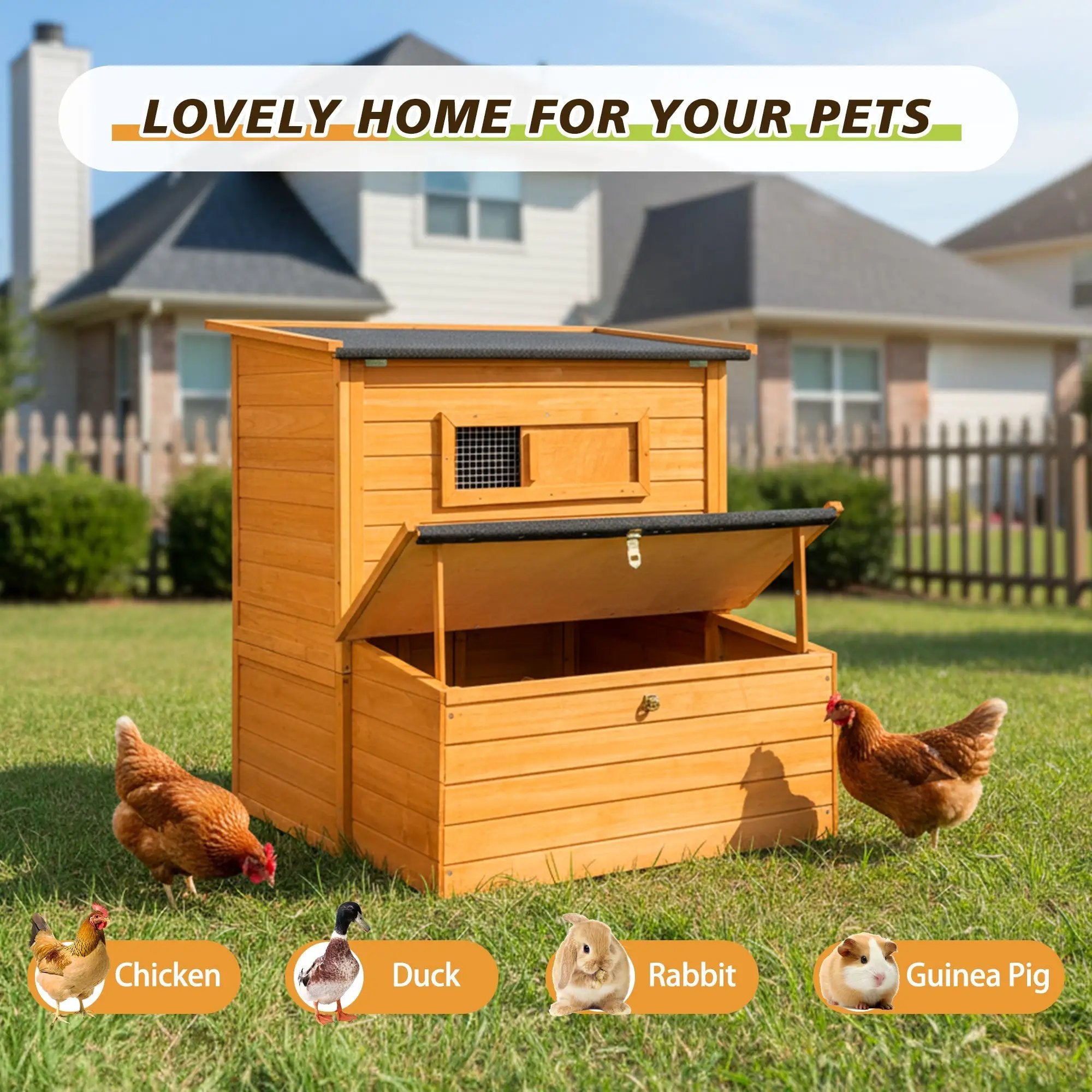 Double-House Wooden Chicken Coop for 6-8 Chickens by HouseOfZazla
