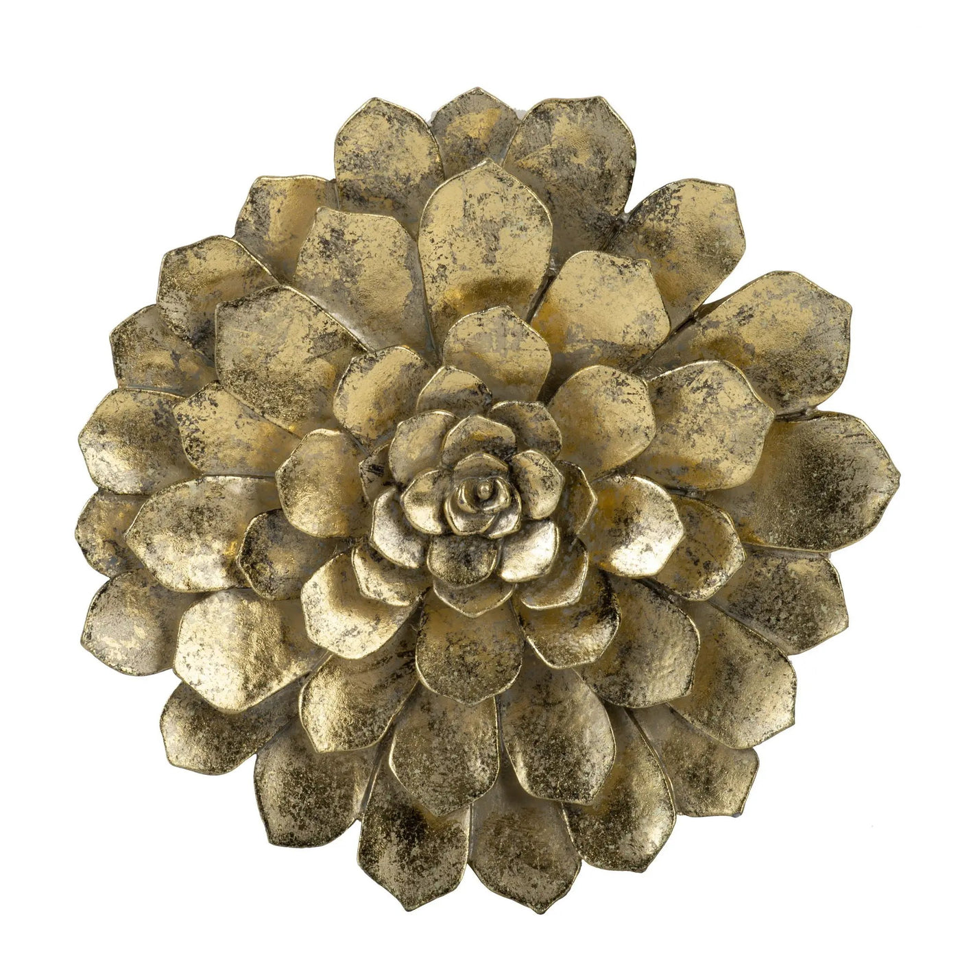 Succulent Wall Plaque by HouseOfZazla