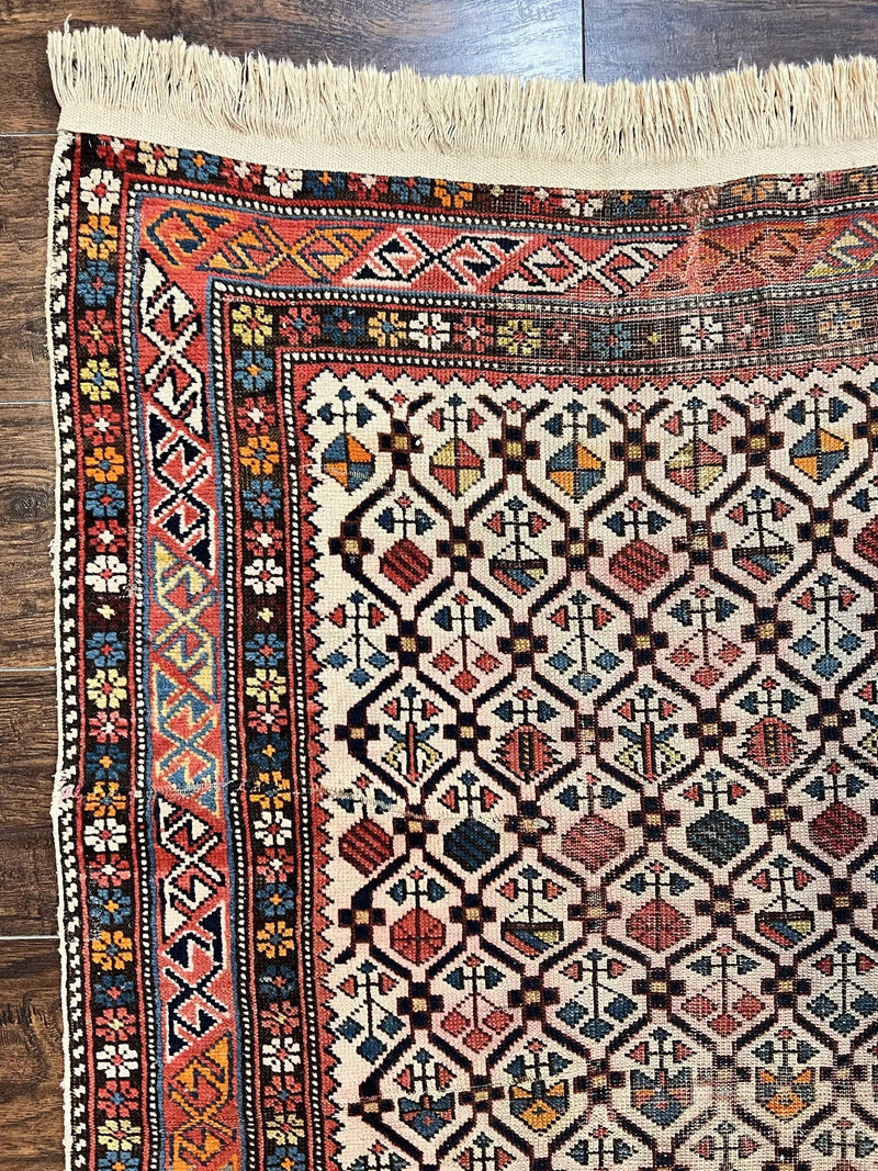 Antique Caucasian Rug 4x5, Hand Knotted Handmade Shirvan Oriental Carpet, Ivory Red Rug Allover Pattern, Rare Wool Rug, Tribal Geometric Rug by Jewel Rugs